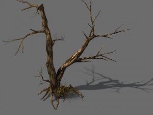 explore the mountains - dead wood 03 Modello 3D