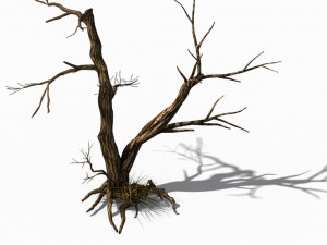 explore the mountains - dead wood 03 3Dモデル