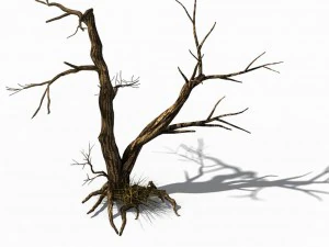 explore the mountains - dead wood 03 3D Model