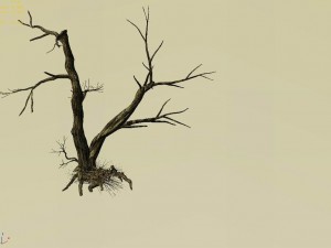 explore the mountains - dead wood 03 3Dモデル