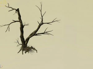 explore the mountains - dead wood 03 3D Model