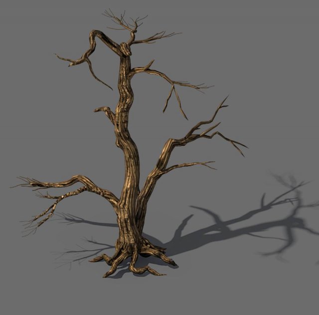 explore the mountains - dead wood 04 Modèle 3D .c4d .max .obj .3ds .fbx .stl .blend 