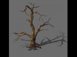 explore the mountains - dead wood 04 Modelo 3D