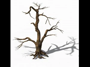 explore the mountains - dead wood 04 3D Model