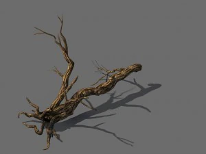 esplorare le montagne - legno morto 05 Modello 3D