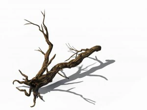 explore the mountains - dead wood 05 3D Model