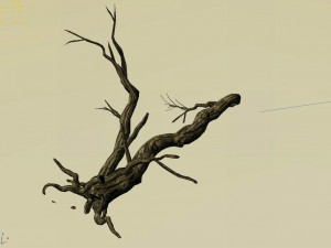 explore the mountains - dead wood 05 Model 3D
