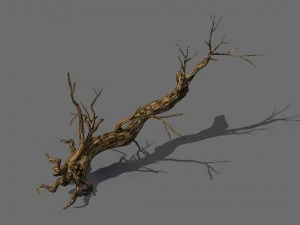 dağları keşfedin - &ouml;l&uuml; ağa&ccedil; 06 3D Model