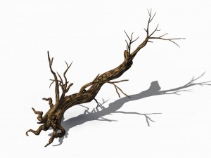 explore the mountains - dead wood 06 Modèle 3D
