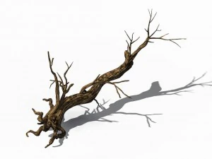 explore the mountains - dead wood 06 3D Model