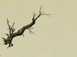 explore the mountains - dead wood 06 3D Model
