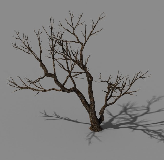 explore the mountains - dead wood 07 Model 3D .c4d .max .obj .3ds .fbx .stl .blend 
