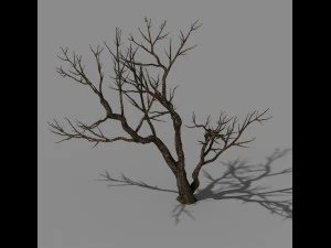 explore the mountains - dead wood 07 3D Model