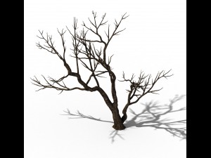 explore the mountains - dead wood 07 Model 3D
