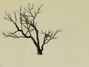 explore the mountains - dead wood 07 3D Model
