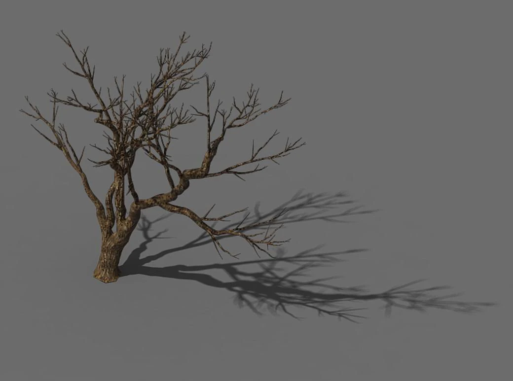 explore the mountains - dead wood 08 3D Model .c4d .max .obj .3ds .fbx .stl .blend