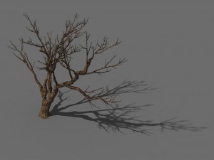 explore the mountains - dead wood 08 Modèle 3D
