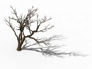 explore the mountains - dead wood 08 3D Model