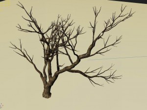 explore the mountains - dead wood 08 Modelo 3D