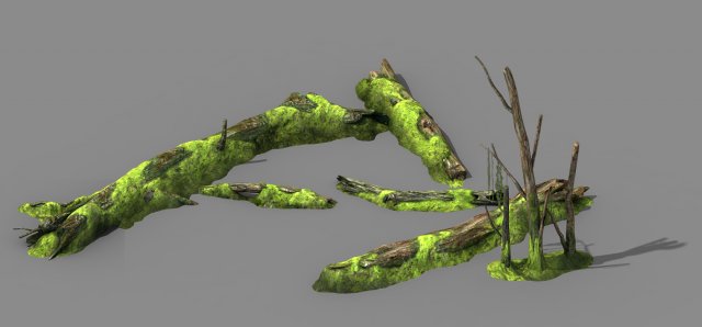 mountains - dead wood - green algae - broken 01 3D Модель .c4d .max .obj .3ds .fbx .stl .blend