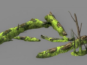 mountains - dead wood - green algae - broken 01 3D Model