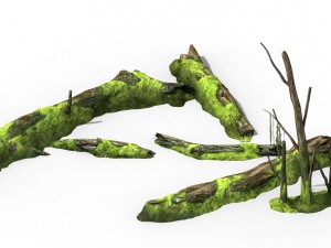 mountains - dead wood - green algae - broken 01 Modèle 3D
