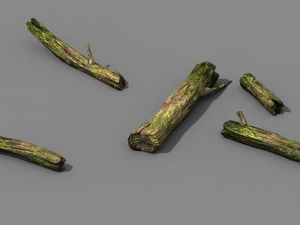 bergen - dood hout - groene algen - gebroken 02 3D Model