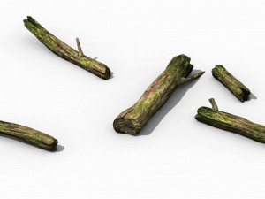 mountains - dead wood - green algae - broken 02 Model 3D
