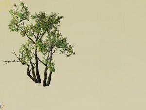 explore the mountains - grove 01 Modèle 3D