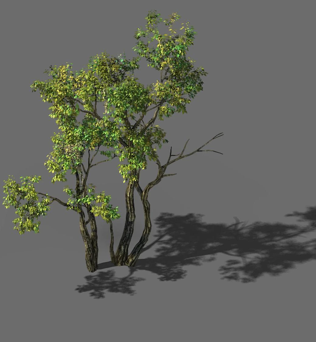 explore the mountains - grove 02 3D Model .c4d .max .obj .3ds .fbx .stl .blend 
