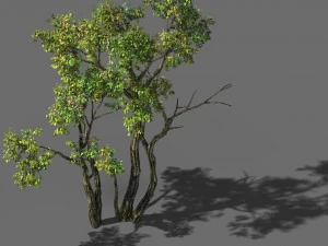 산 탐험 - 숲 02 3D 모델