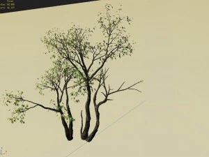 explore the mountains - grove 03 3D Model