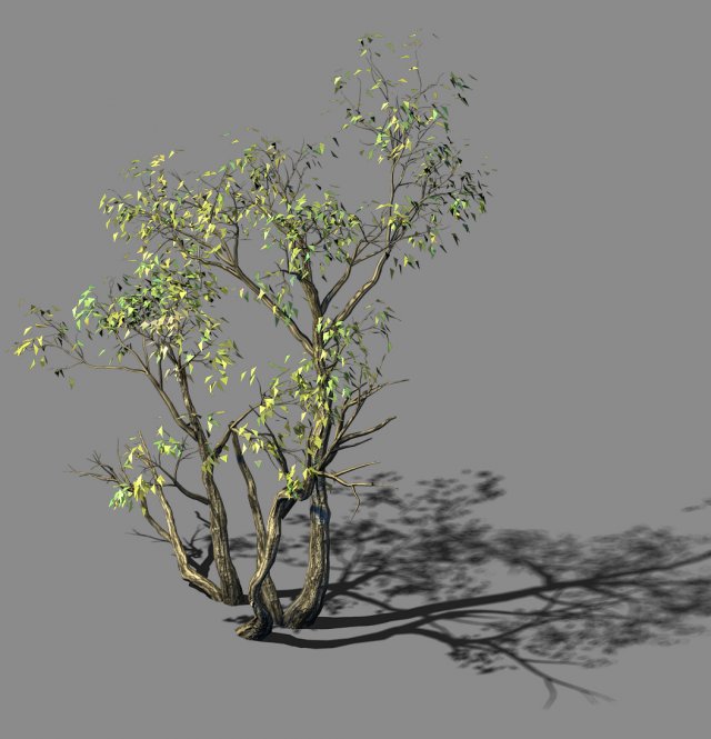 explore the mountains - grove 04 3D Model .c4d .max .obj .3ds .fbx .stl .blend 