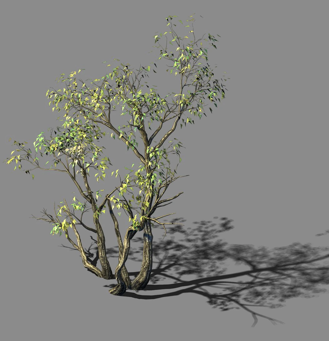 explore the mountains - grove 04 3D Model .c4d .max .obj .3ds .fbx .stl .blend