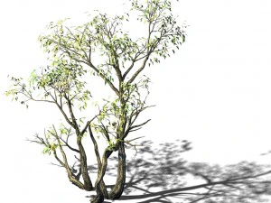 explore the mountains - grove 04 3D Model