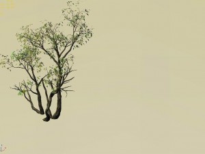 explore the mountains - grove 04 3D Model