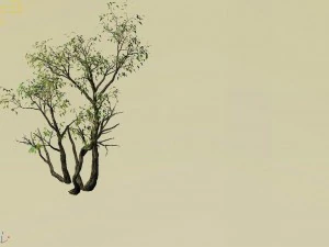 explore the mountains - grove 04 3D Model