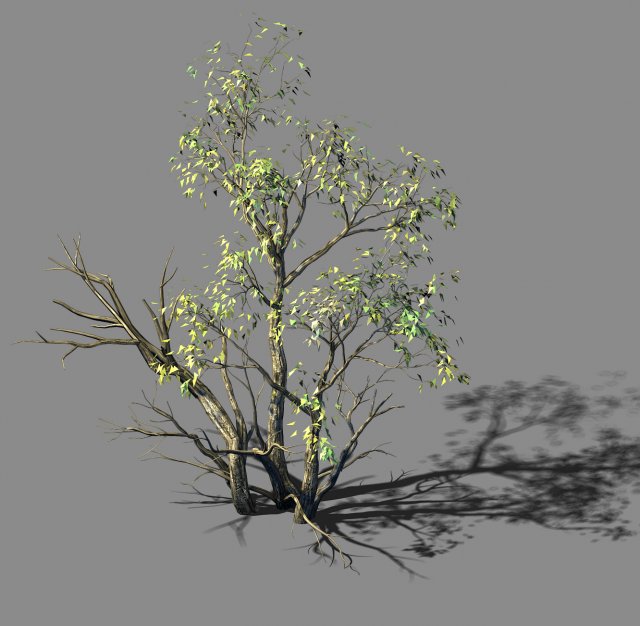 explore the mountains - grove 05 Model 3D .c4d .max .obj .3ds .fbx .stl .blend 