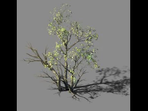 explorar las monta&ntilde;as - arboleda 05 Modelo 3D