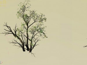 explore the mountains - grove 05 Model 3D