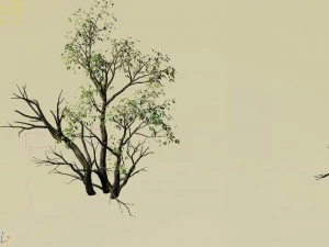 explore the mountains - grove 05 3D Model