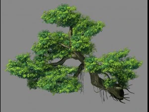 探索山脉 - 悬崖 - 树 01 3D 模型