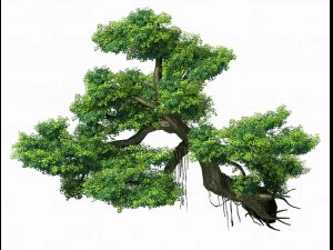 explore the mountains - cliff - tree 01 3D Model