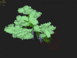 explore the mountains - cliff - tree 01 3D Model