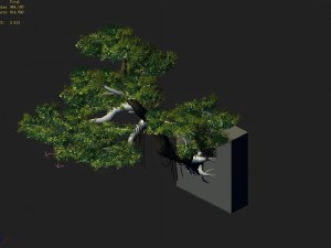 explore the mountains - cliff - tree 01 3D-Modell