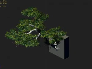 explore the mountains - cliff - tree 01 3D Model