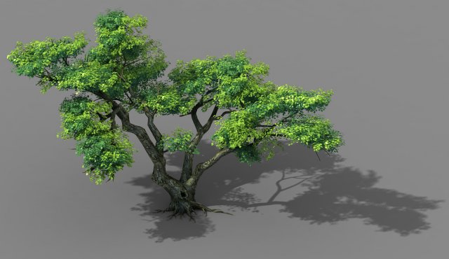 explore the mountains - cliff - tree 03 Model 3D .c4d .max .obj .3ds .fbx .stl .blend 