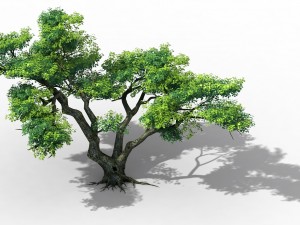 explore the mountains - cliff - tree 03 Model 3D
