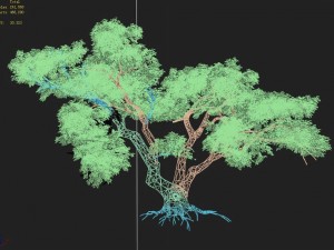 explore the mountains - cliff - tree 03 Model 3D