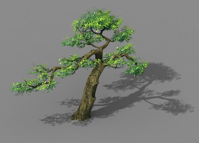 explore the mountains - cliff - tree 04 3D 模型 .c4d .max .obj .3ds .fbx .stl .blend 